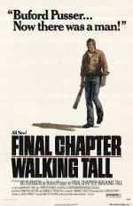 Watch Final Chapter: Walking Tall Primewire