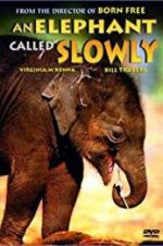 Watch An Elephant Called Slowly Primewire
