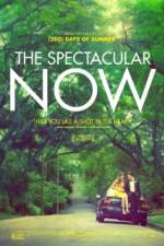 Watch The Spectacular Now Primewire