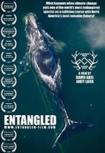Watch Entangled: The Race to Save Right Whales from Extinction Primewire