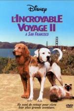Watch Homeward Bound II Lost in San Francisco Primewire