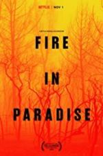 Watch Fire in Paradise Primewire