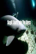 Watch National Geographic Wild Sixgill Shark Into The Abyss Primewire