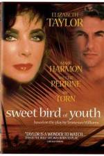 Watch Sweet Bird of Youth Primewire