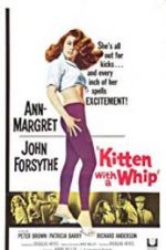 Watch Kitten with a Whip Primewire