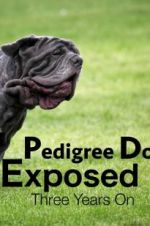 Watch Pedigree Dogs Exposed, Three Years On Primewire