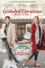 Watch A Godwink Christmas: Miracle of Love Primewire