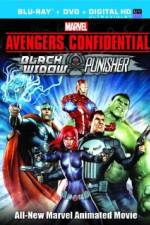 Watch Avengers Confidential: Black Widow & Punisher Primewire