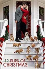 Watch 12 Pups of Christmas Primewire