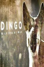 Watch Dingo Wild Dog at War Primewire
