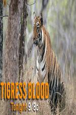 Watch Discovery Channel-Tigress Blood Primewire