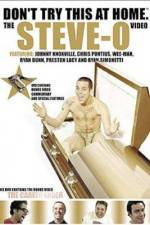 Watch Don't Try This at Home The Steve-O Video Primewire
