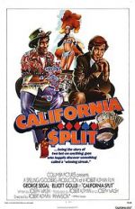 Watch California Split Primewire