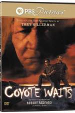 Watch Coyote Waits Primewire