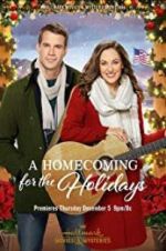 Watch A Homecoming for the Holidays Primewire