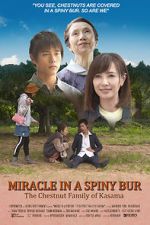Watch Miracle in Kasama Primewire