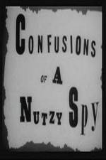 Watch Confusions of a Nutzy Spy Primewire
