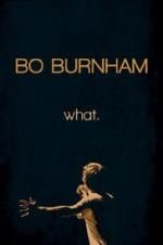 Watch Bo Burnham: what. Primewire