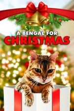 Watch A Bengal for Christmas Primewire