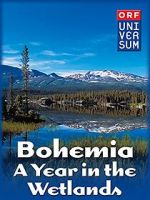 Watch Bohemia: A Year in the Wetlands Primewire