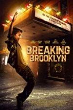 Watch Breaking Brooklyn Primewire