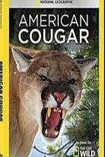 Watch National Geographic - American Cougar Primewire