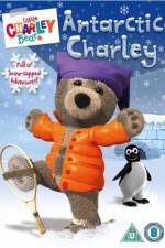 Watch Little Charley Bear - Antarctic Charley Primewire