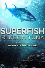 Watch Superfish Bluefin Tuna Primewire