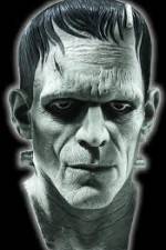 Watch Frankenstein Birth of a Monster Primewire