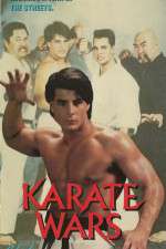 Watch Karate Wars Primewire