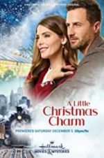 Watch A Little Christmas Charm Primewire