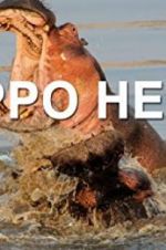 Watch Hippo Hell Primewire