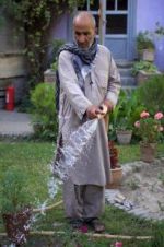 Watch The Gardeners of Kabul Primewire