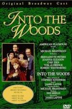 Watch Into the Woods Primewire