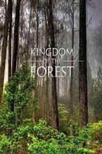 Watch National Geographic Kingdom of the Forest Primewire