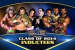 Watch WWE Hall of Fame Primewire