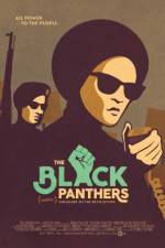 Watch The Black Panthers Vanguard of the Revolution Primewire