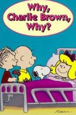 Watch Why Charlie Brown Why Primewire