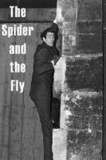 Watch The Spider and the Fly Primewire