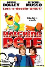 Watch Hatching Pete Primewire