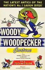 Watch The Woody Woodpecker Polka Primewire