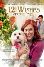 Watch 12 Wishes of Christmas Primewire