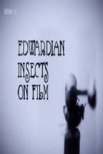 Watch Edwardian Insects on Film Primewire
