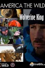 Watch National Geographic Wild America the Wild Wolverine King Primewire
