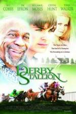 Watch The Derby Stallion Primewire