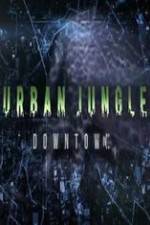 Watch National Geographic Wild Urban Jungle Downtown Primewire