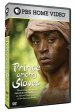 Watch Prince Among Slaves Primewire