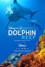 Watch Dolphin Reef Primewire