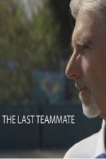 Watch Senna The Last Teammate Primewire