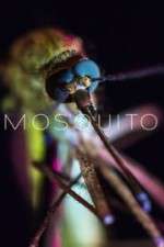 Watch Mosquito Primewire